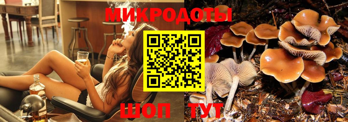 Галлюциногенные грибы Psilocybe Муром